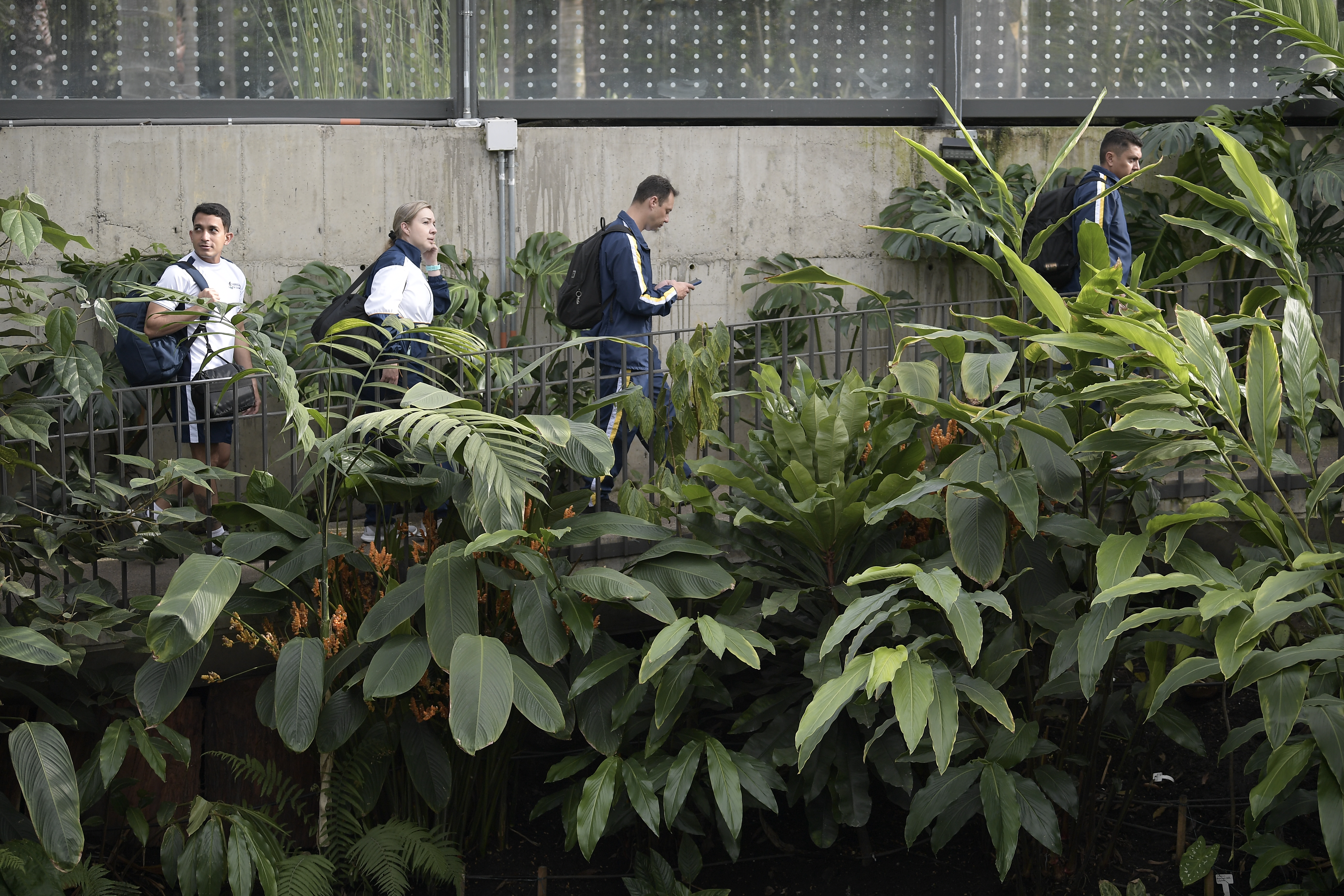 Recorrido por el Tropicario, atracción de este jardín ubicado en Bogotá.