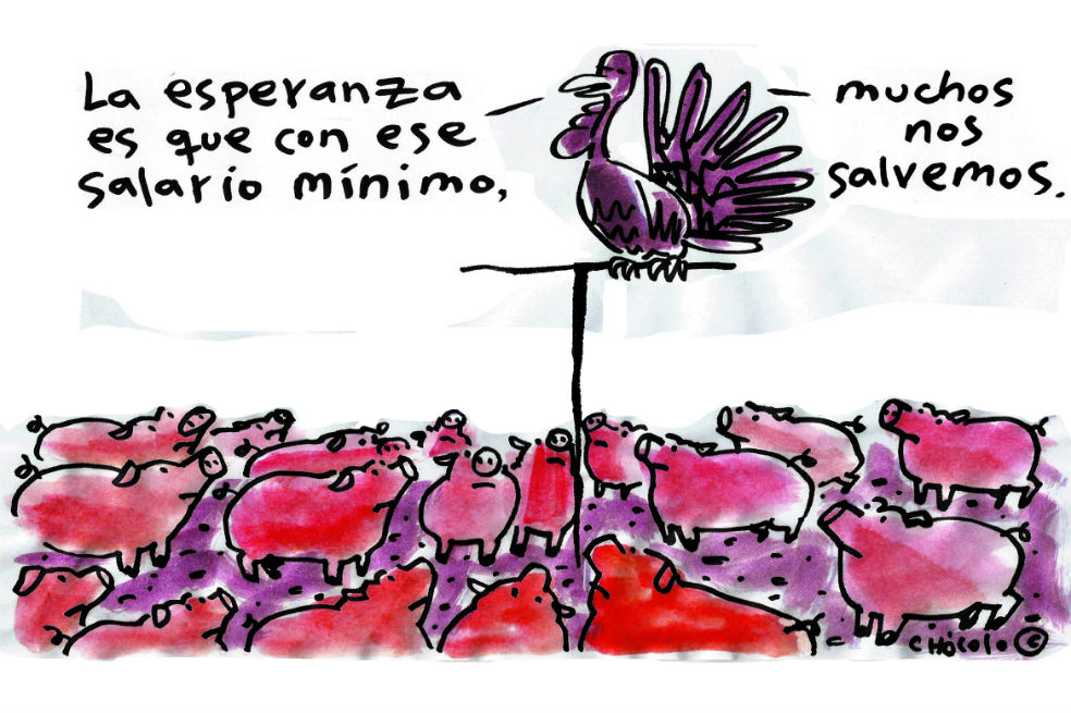 Chócolo