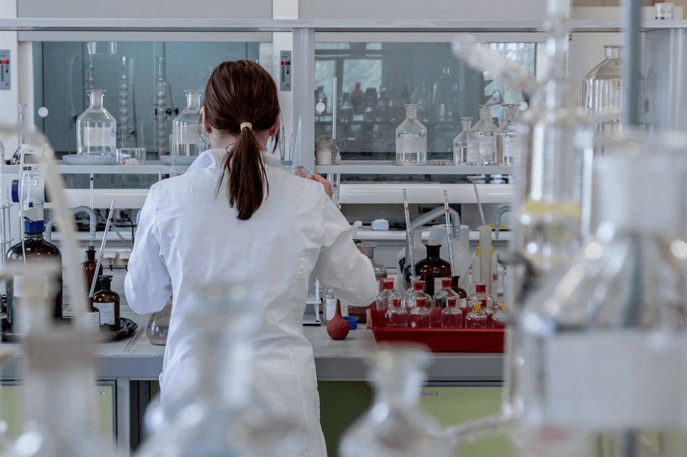 Investigadores dan un paso más en el cultivo de riñones humanos dentro de un laboratorio