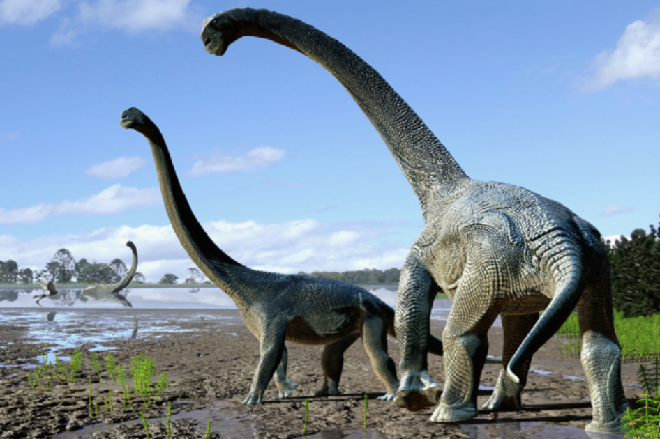 El nuevo dinosaurio cuello largo | EL ESPECTADOR