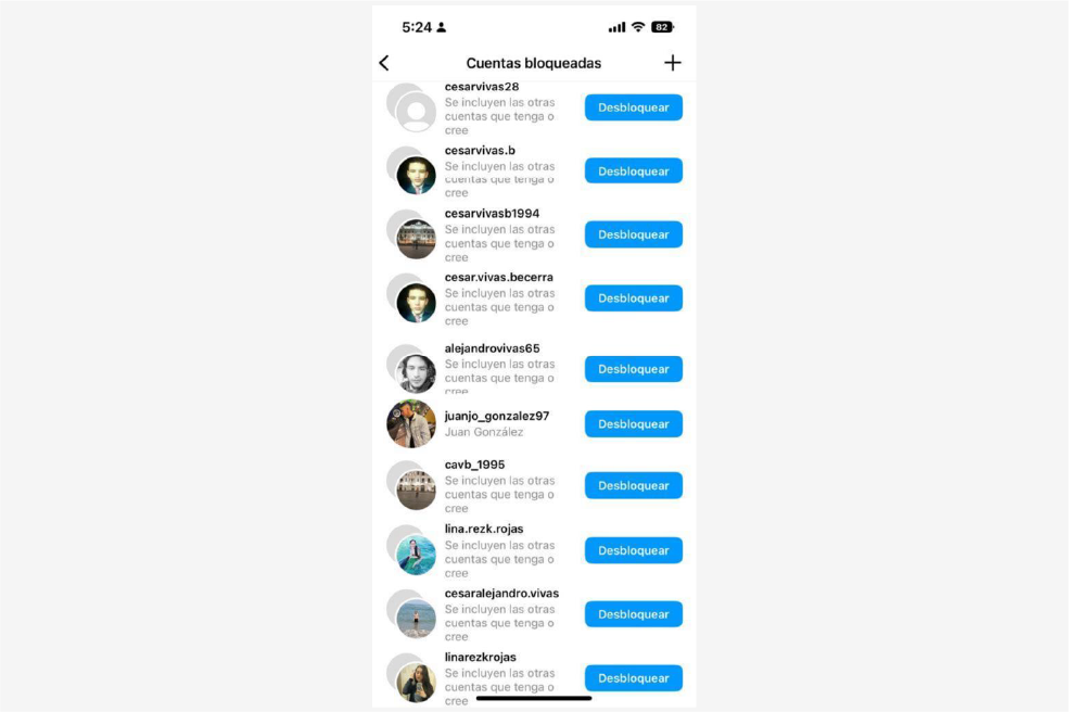 Listado de perfiles que creó Cesar Vivas en Instagram para acosar a Lina Rezk.
