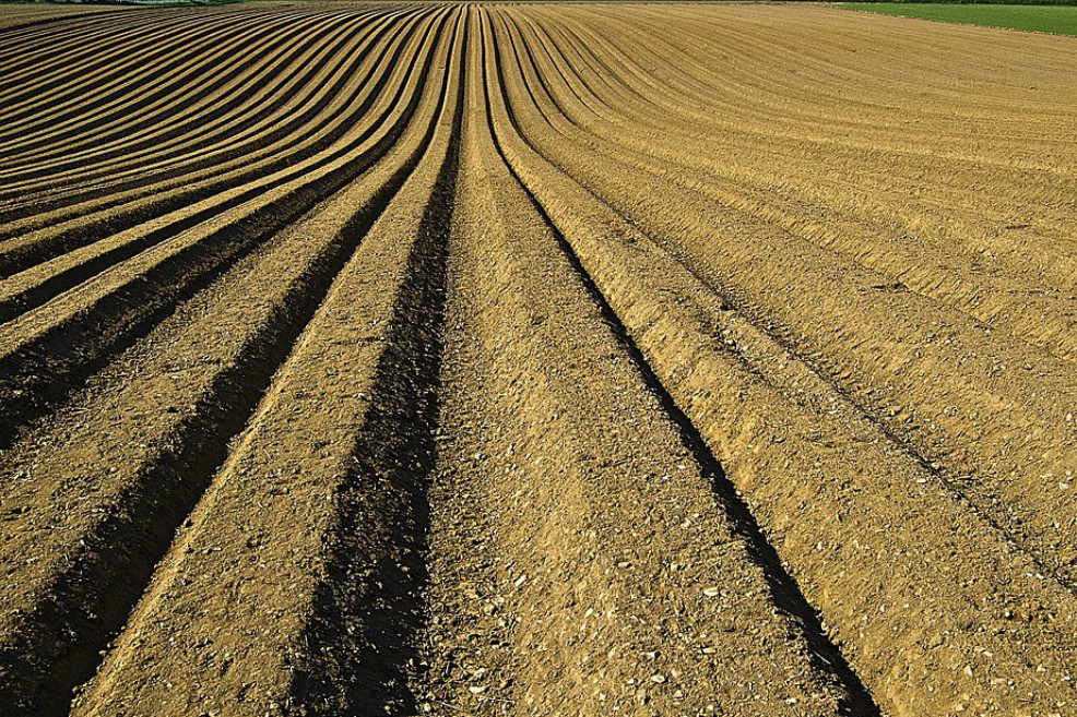 Expertos climáticos de la ONU dicen que las emisiones agrícolas son las más difíciles de evitar