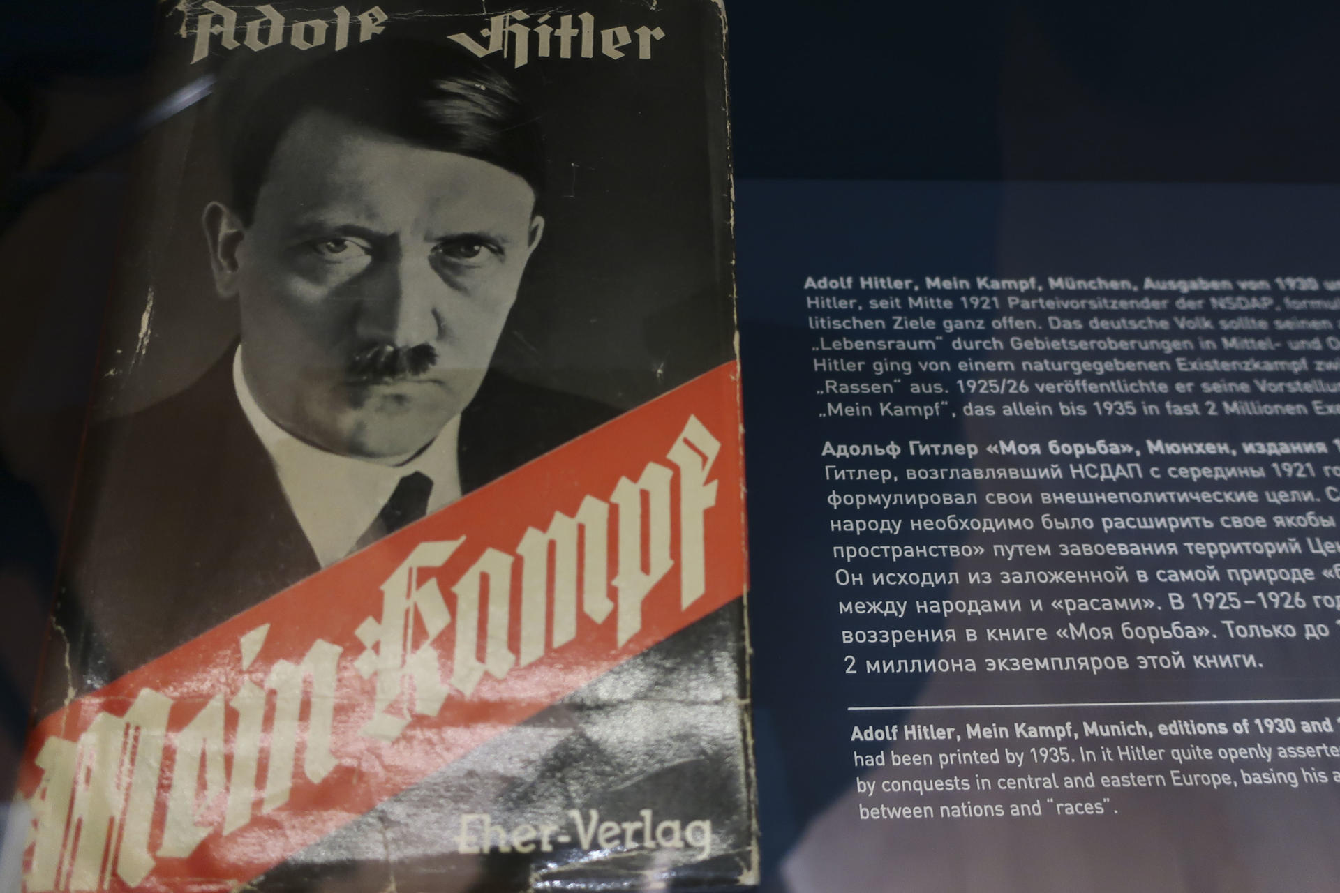 Hitler tenía trastorno de desarrollo de órganos sexuales según un estudio genético