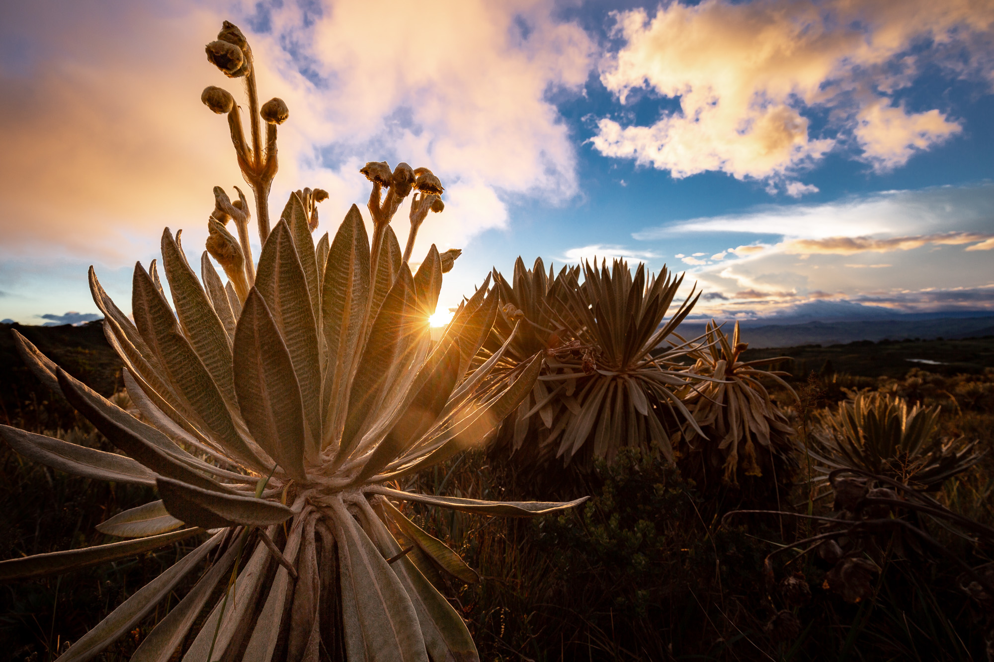 Reconectar con la naturaleza: el propósito de 2024