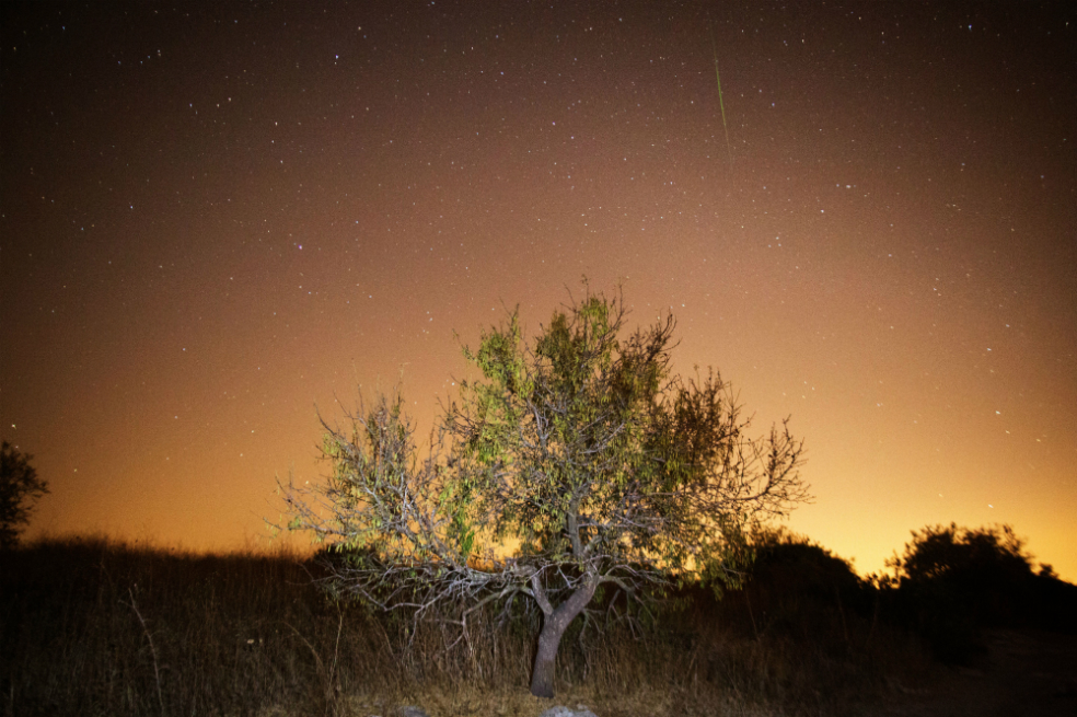 Las impresionantes imágenes que dejó la lluvia de estrellas