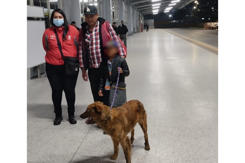 En video: el emotivo reencuentro de un niño con su perro perdido en TransMilenio