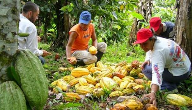 Se invierte 1 billón de pesos en las áreas protegidas de la Amazonía