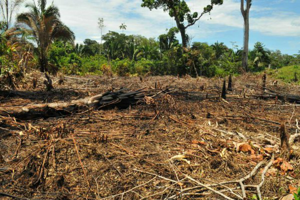 Pereira en alerta roja por oleadas de calor