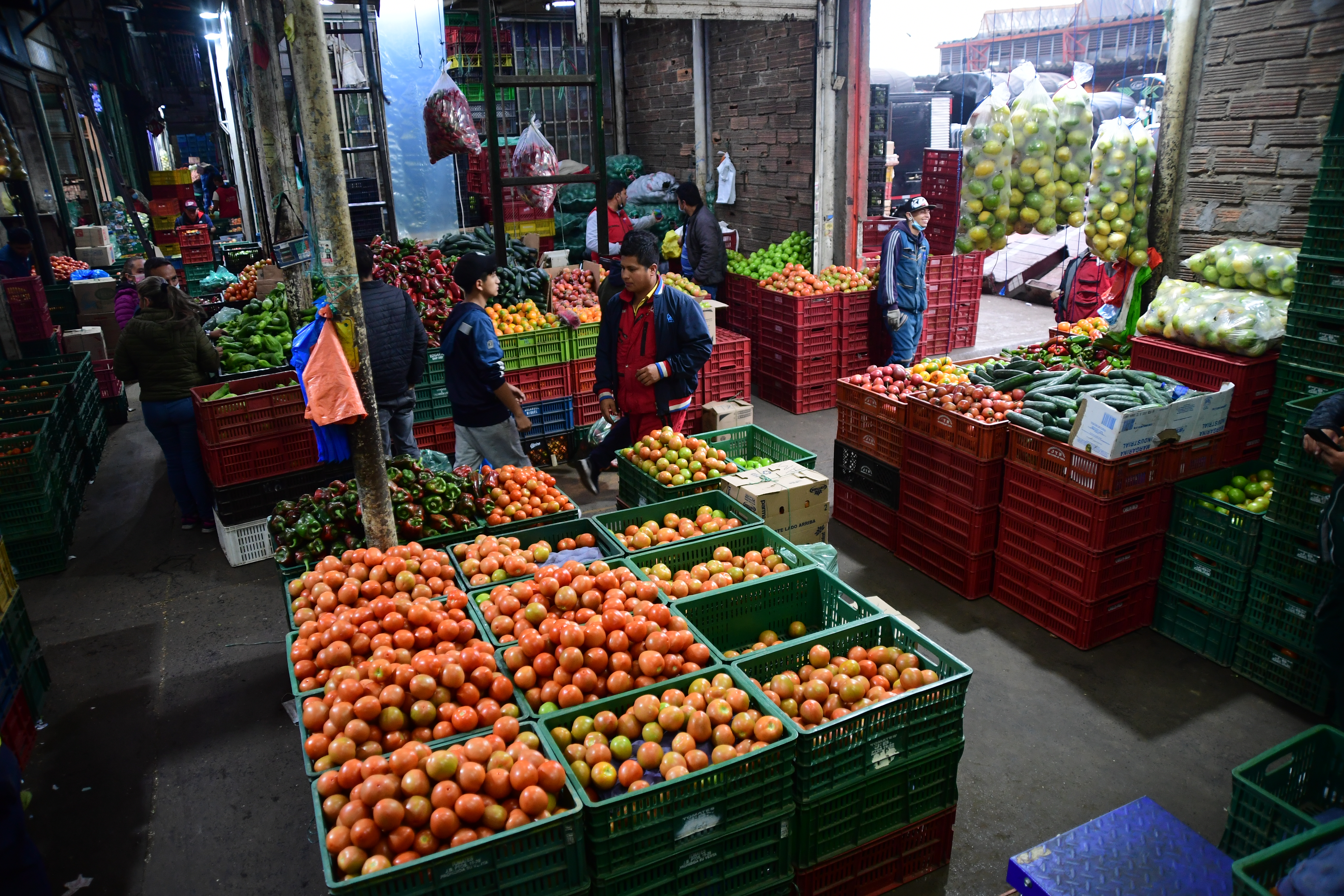 Aumentó la cantidad de alimentos en principales centrales mayoristas: ¿por qué?