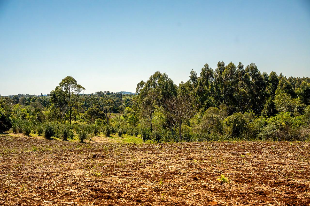 El Grupo de Mujeres Emprendedoras de Colonia Alegría, en Misiones, al noreste de Argentina, enfrentaba la degradación del bosque nativo y múltiples barreras para acceder a oportunidades productivas y fortalecer su autonomía económica. Esta situación amenazaba sus medios de vida, la salud del bosque —base de su identidad y sustento— y limitaba sus posibilidades de generar ingresos, mejorar su calidad de vida y consolidar su arraigo territorial.