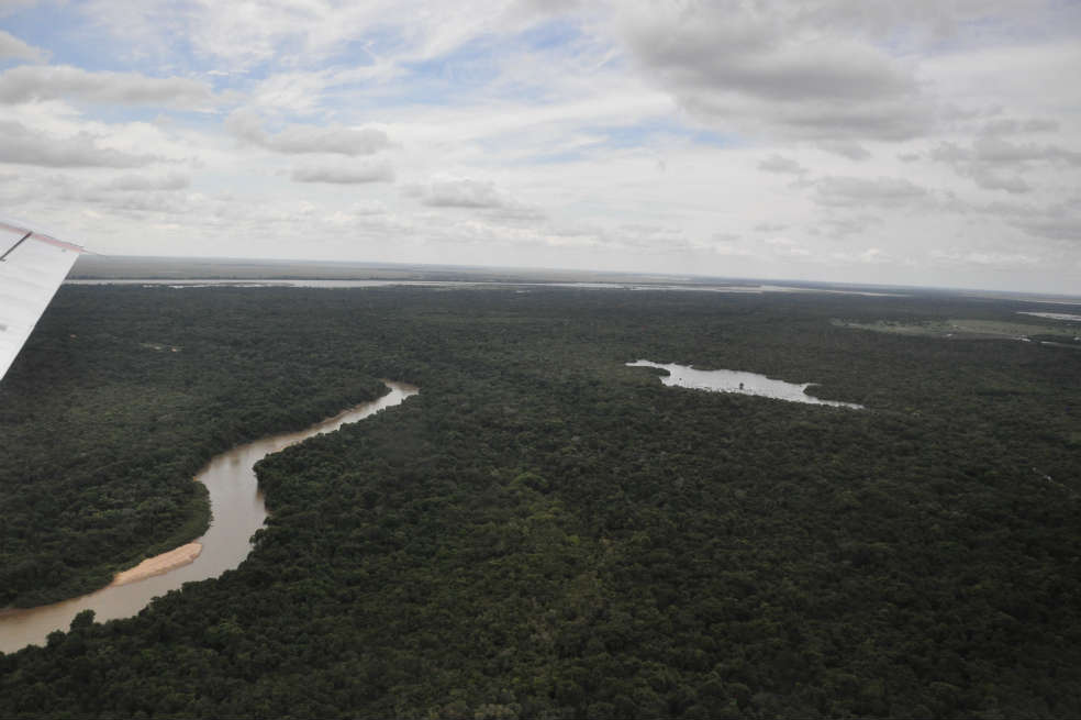 Conservación y gestión sostenible de los bosques, fundamentales para metas del 2030