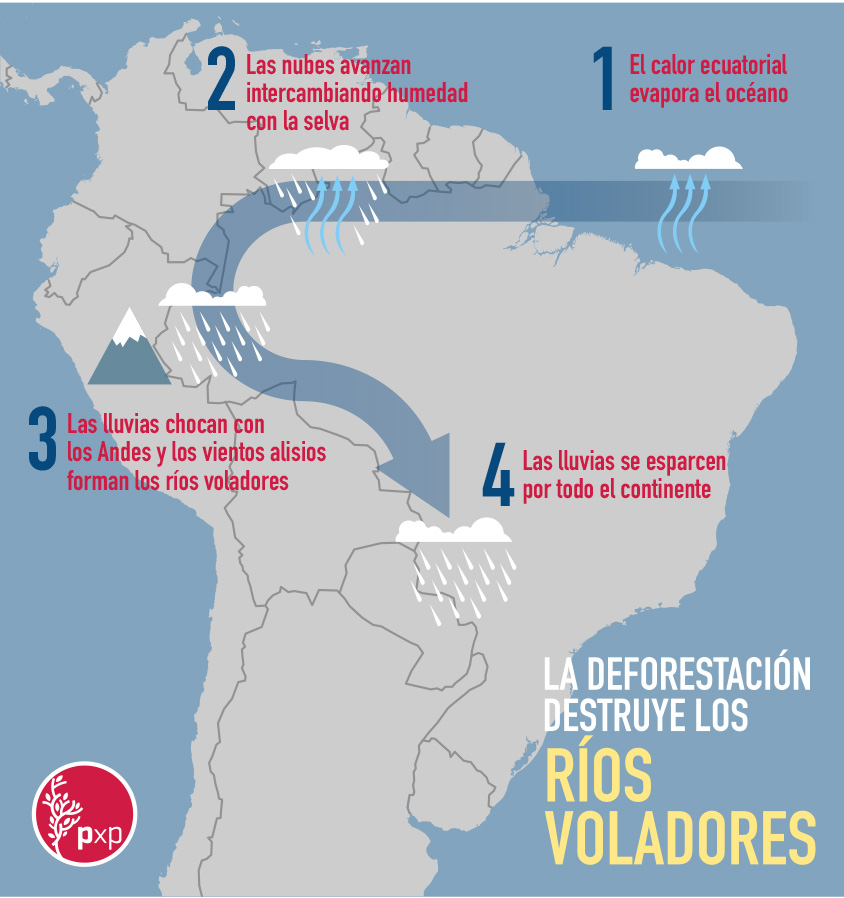 Ríos Voladores: Sin bosques, no hay lluvias