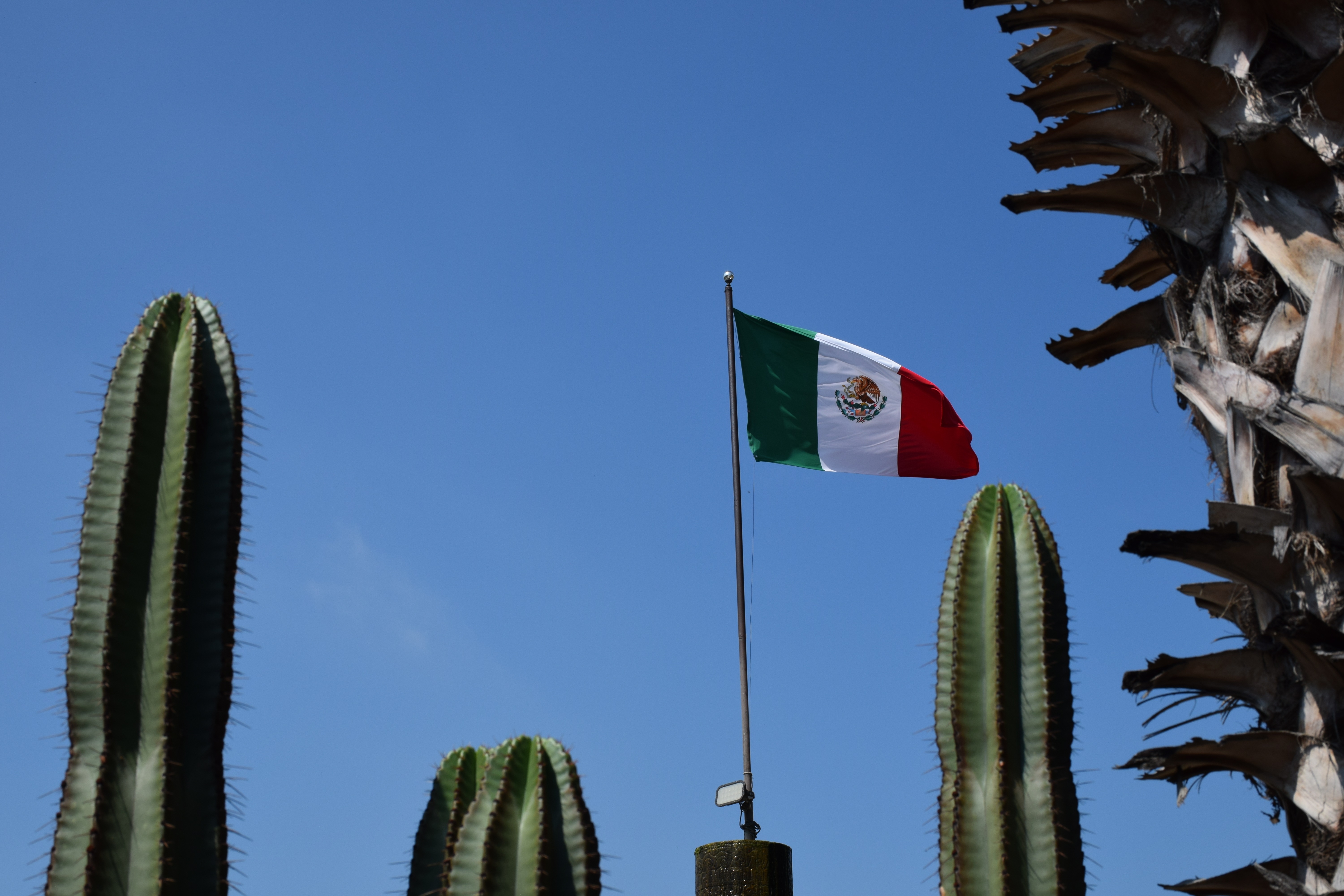 Jalisco: La cuna del tequila, el mariachi y la charrería, símbolos de México