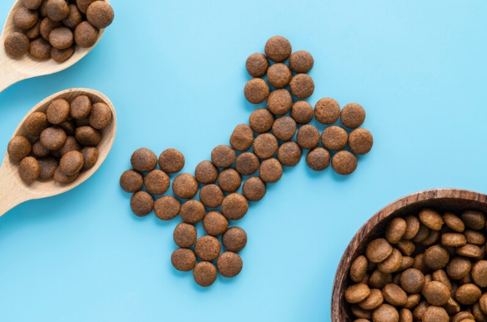 Cinco consejos para alimentar correctamente a su mascota