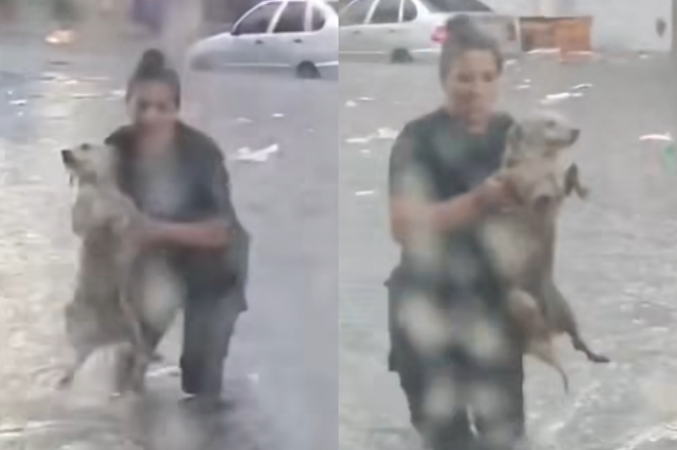 (Video) Policía salva a perro de morir ahogado tras las fuertes lluvias en Argentina