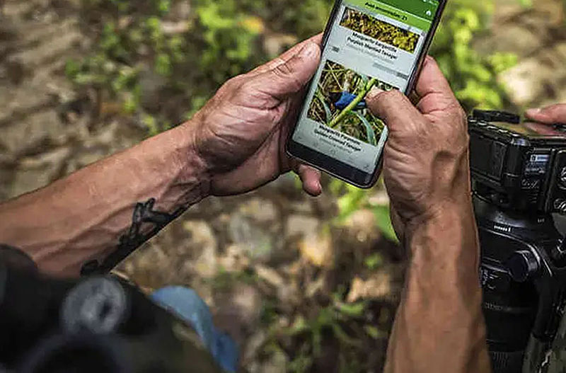 RB Birds, una App para saber más sobre las aves de Colombia