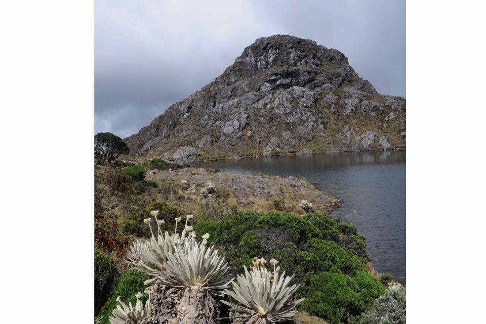 Crece la minería ilegal en Santurbán