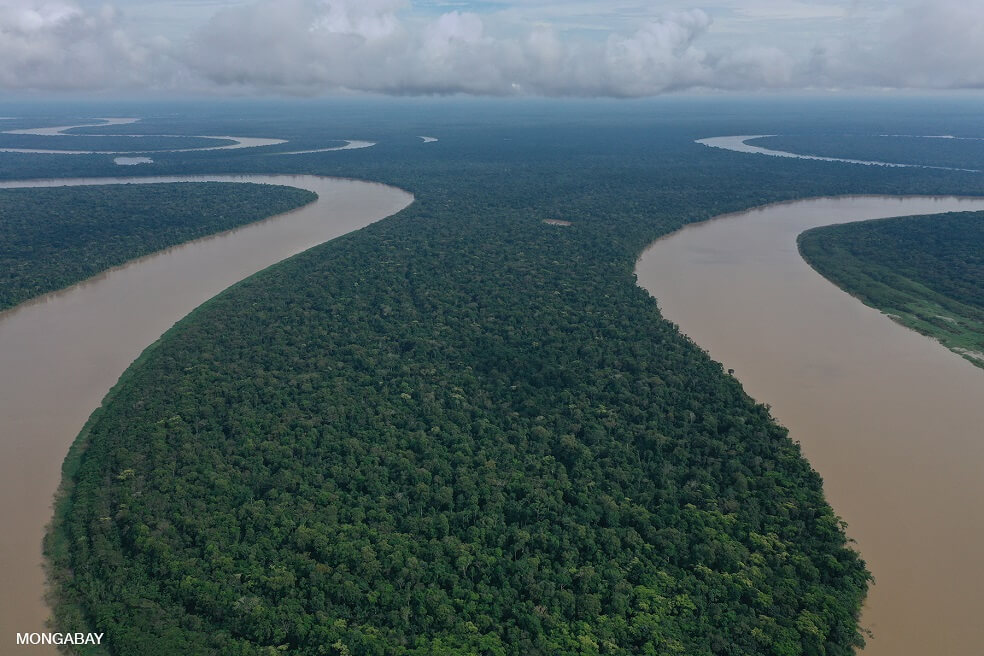 Día Internacional de los Bosques: comunidades, aliadas en su conservación
