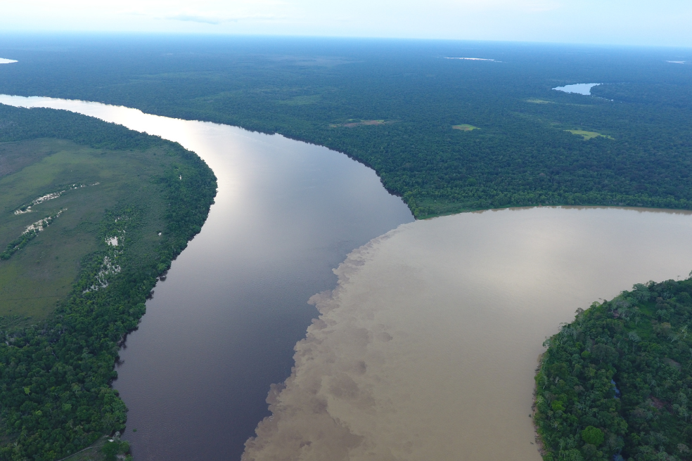 Pagos por servicios ambientales: un incentivo a la conservación de la Amazonía
