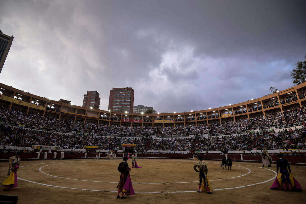 ¿Es viable regular las prácticas taurinas? El debate llega al Concejo de Bogotá