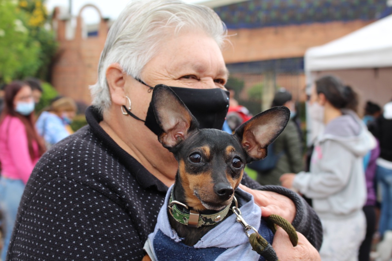 ¡Agéndese! Brigadas médicas y jornadas de esterilización de perros y gatos en Kennedy