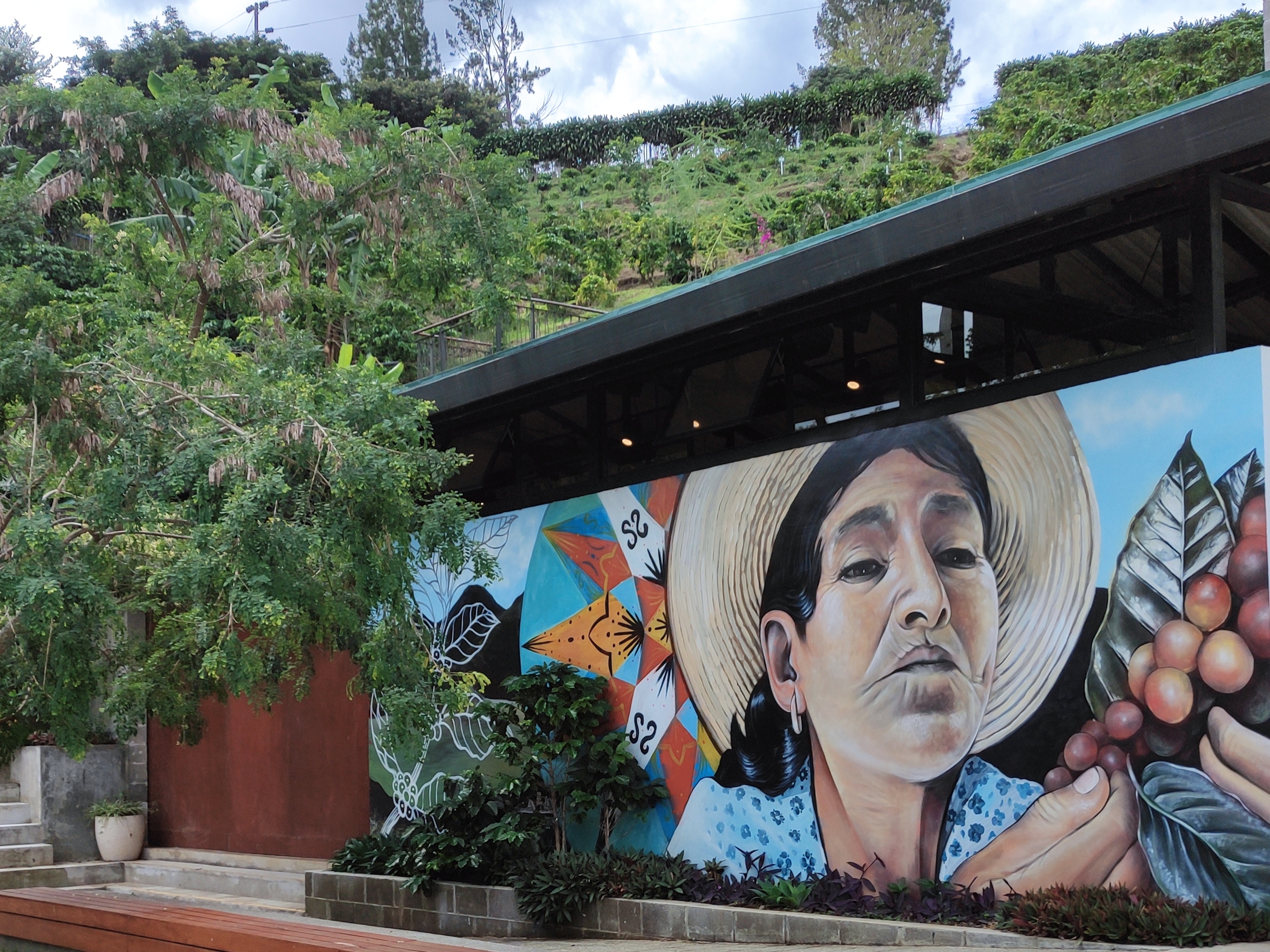 Hacienda Alsacia, la primera y única finca de café de Starbucks