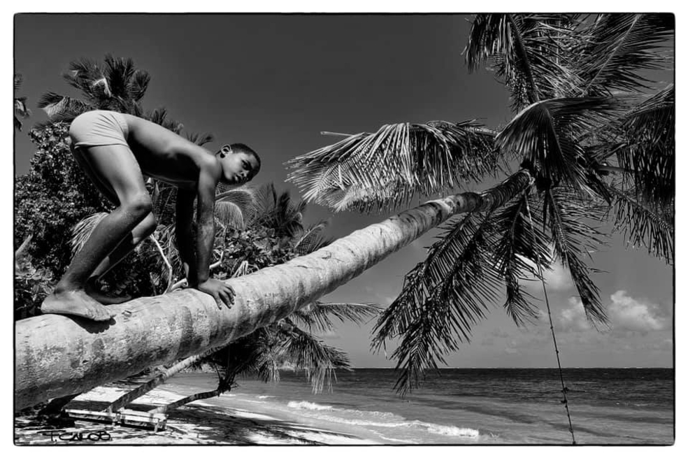 Fernando Cano subasta cuatro fotografías para donar esos recursos a Providencia