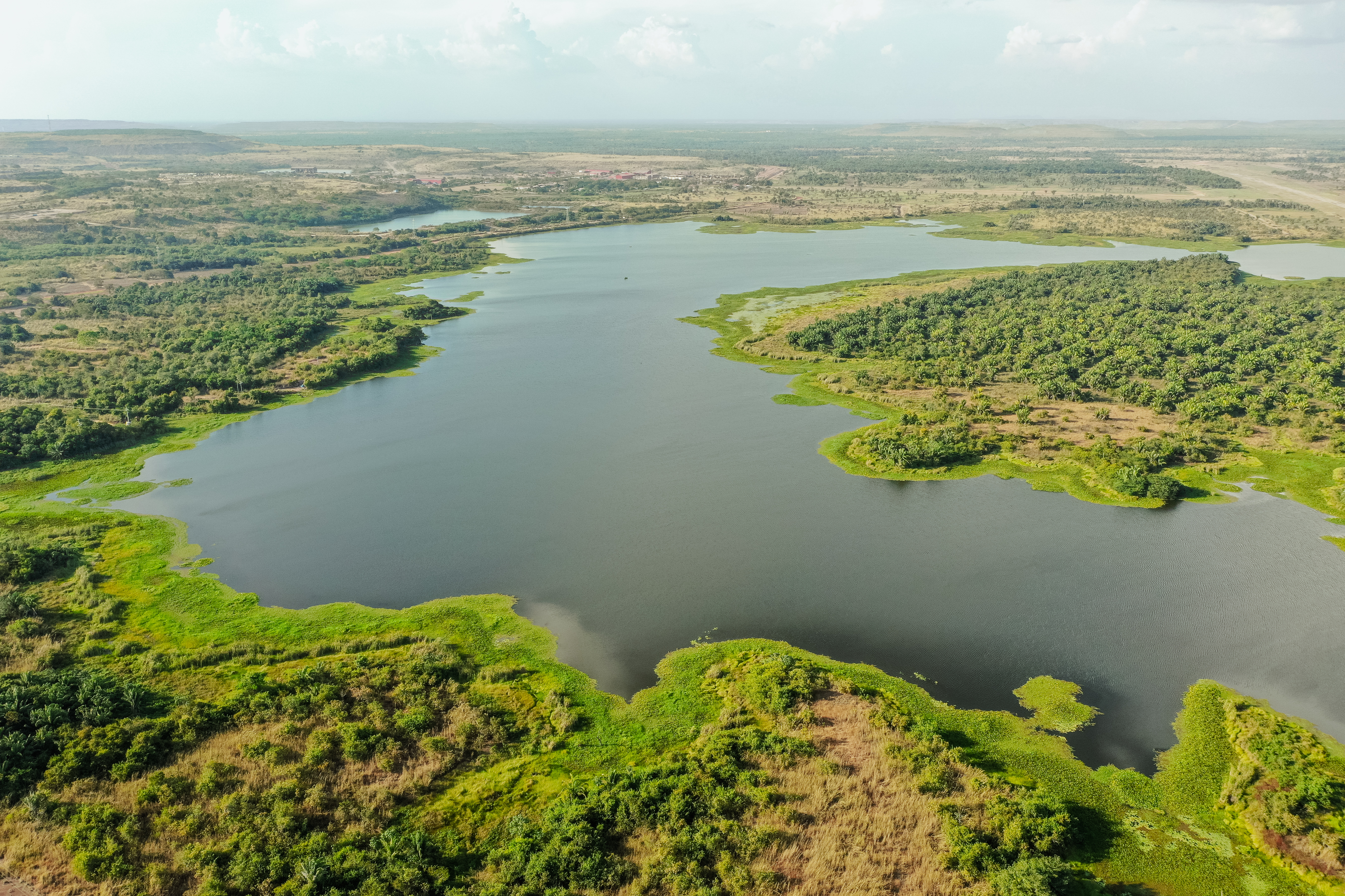 Drummond cuenta con programas de reforestación orientados a capturar CO₂ y proteger la biodiversidad.
