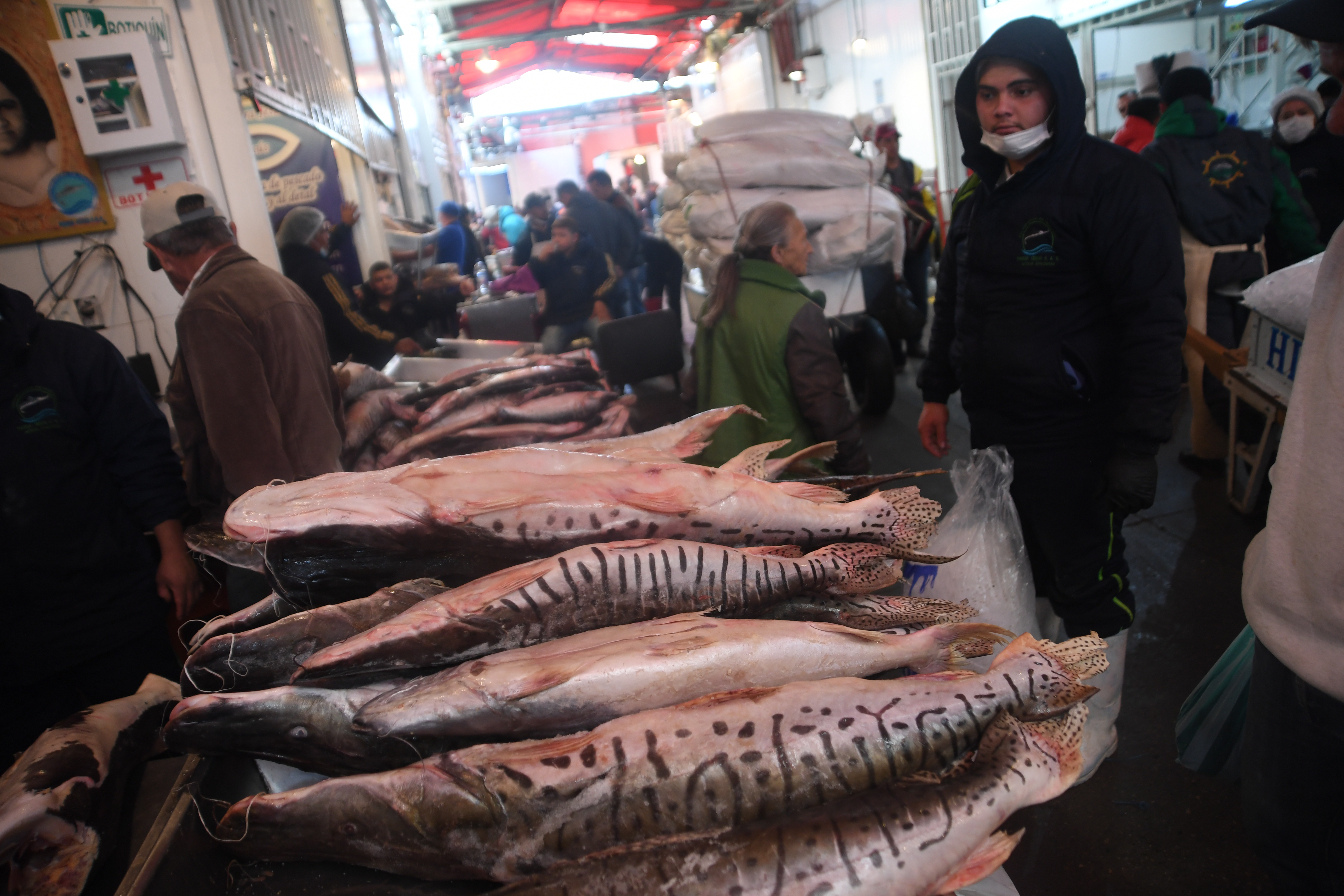 Que no se le dañe el descanso: lo que debe saber para identificar pescado en mal estado