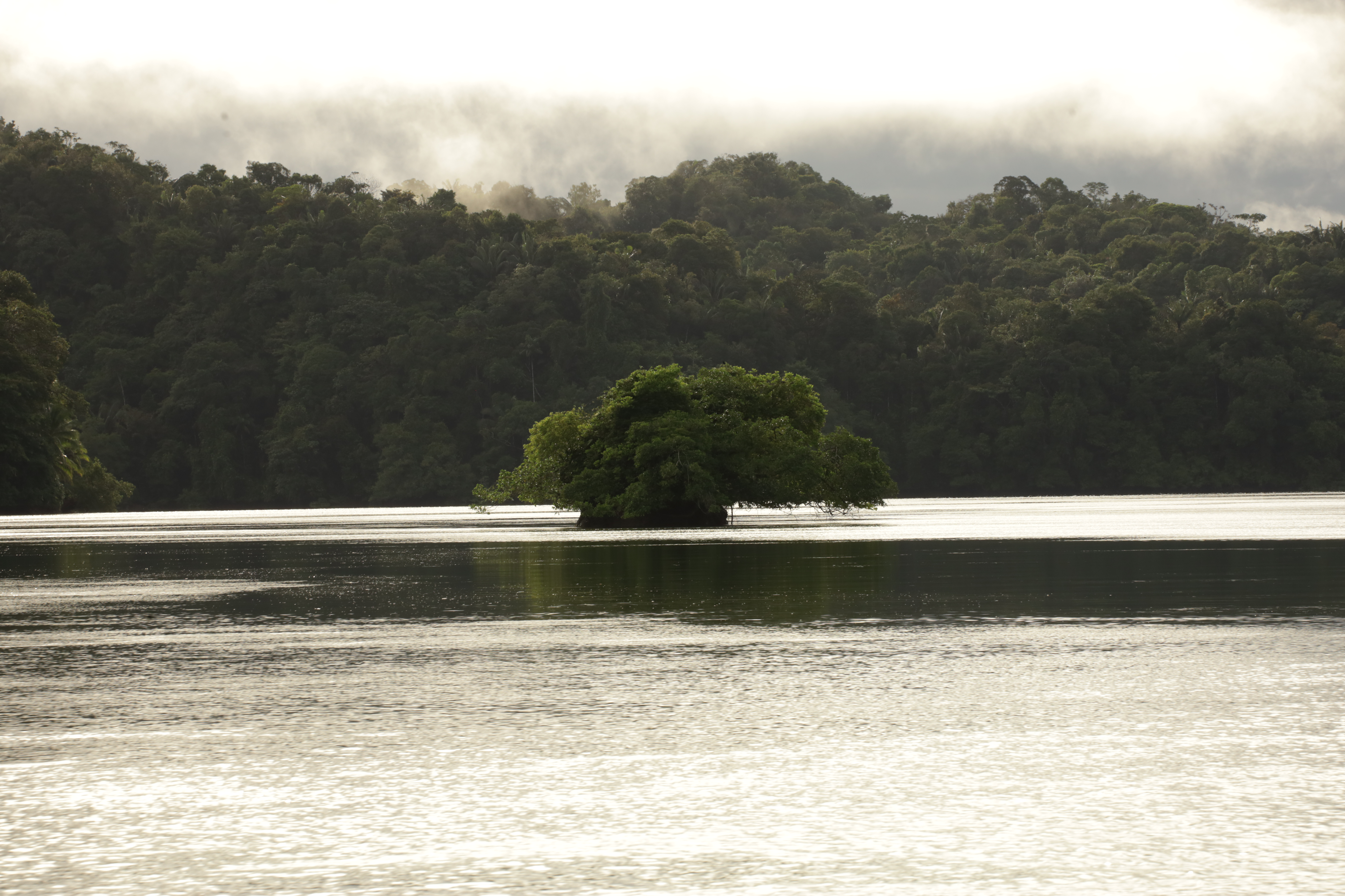 Desde el Pacífico colombiano, el turismo que transforma vidas más allá de las cifras récord