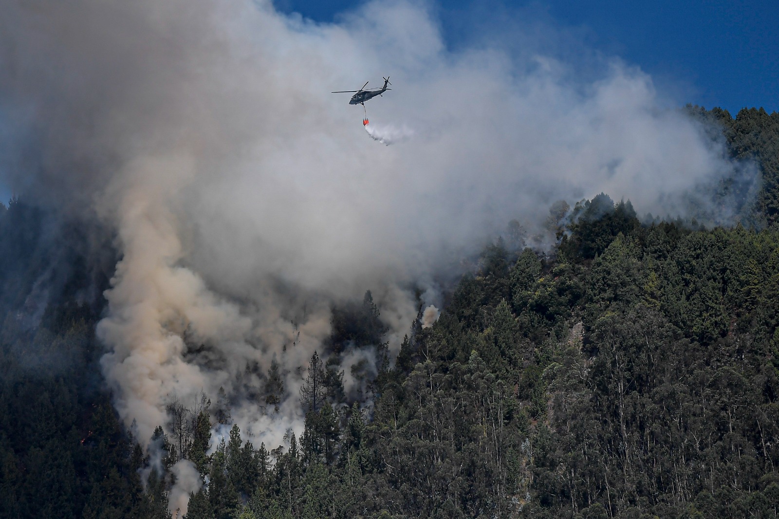 Universidad Javeriana tendrá clases remotas debido a los incendios en zonas aledañas