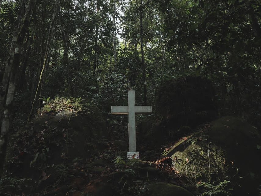 Estas cruces fueron talladas por los habitantes de la región de Cerritos quienes, junto con el padre Javier González, hicieron un improvisado camino de peregrinación.