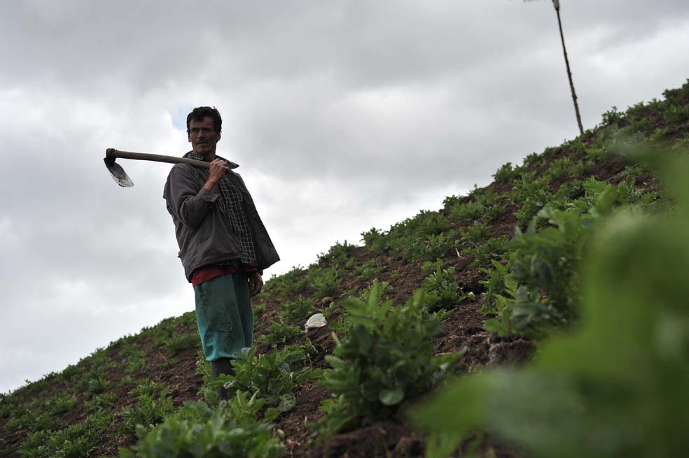 Con tutela, piden que el Gobierno formalice tres zonas de reserva campesina