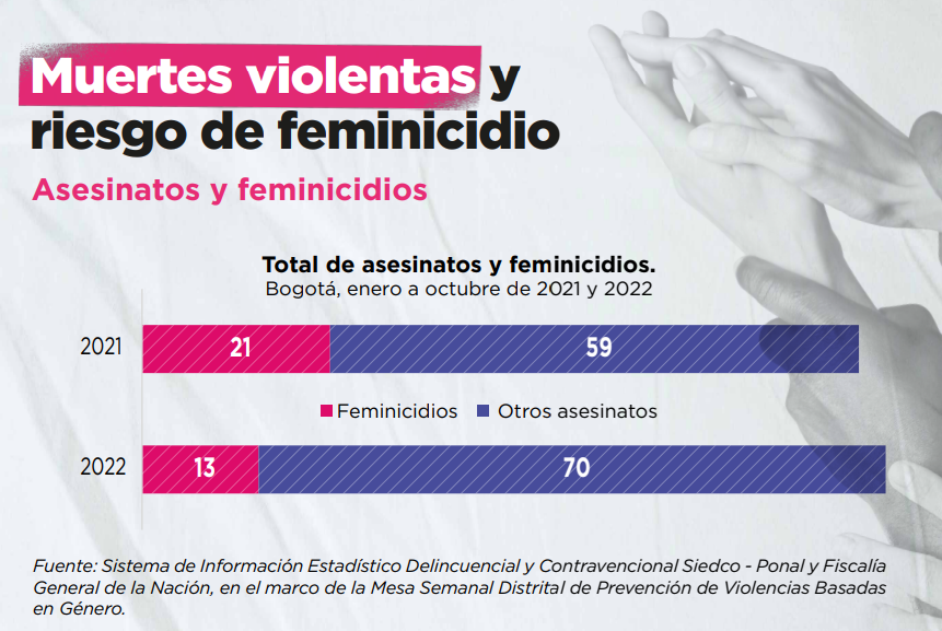 Muertes violentas y riesgo de feminicidio.