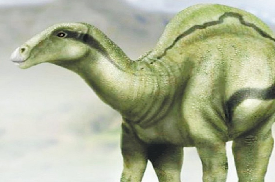 Descubren nueva especie de dinosaurio