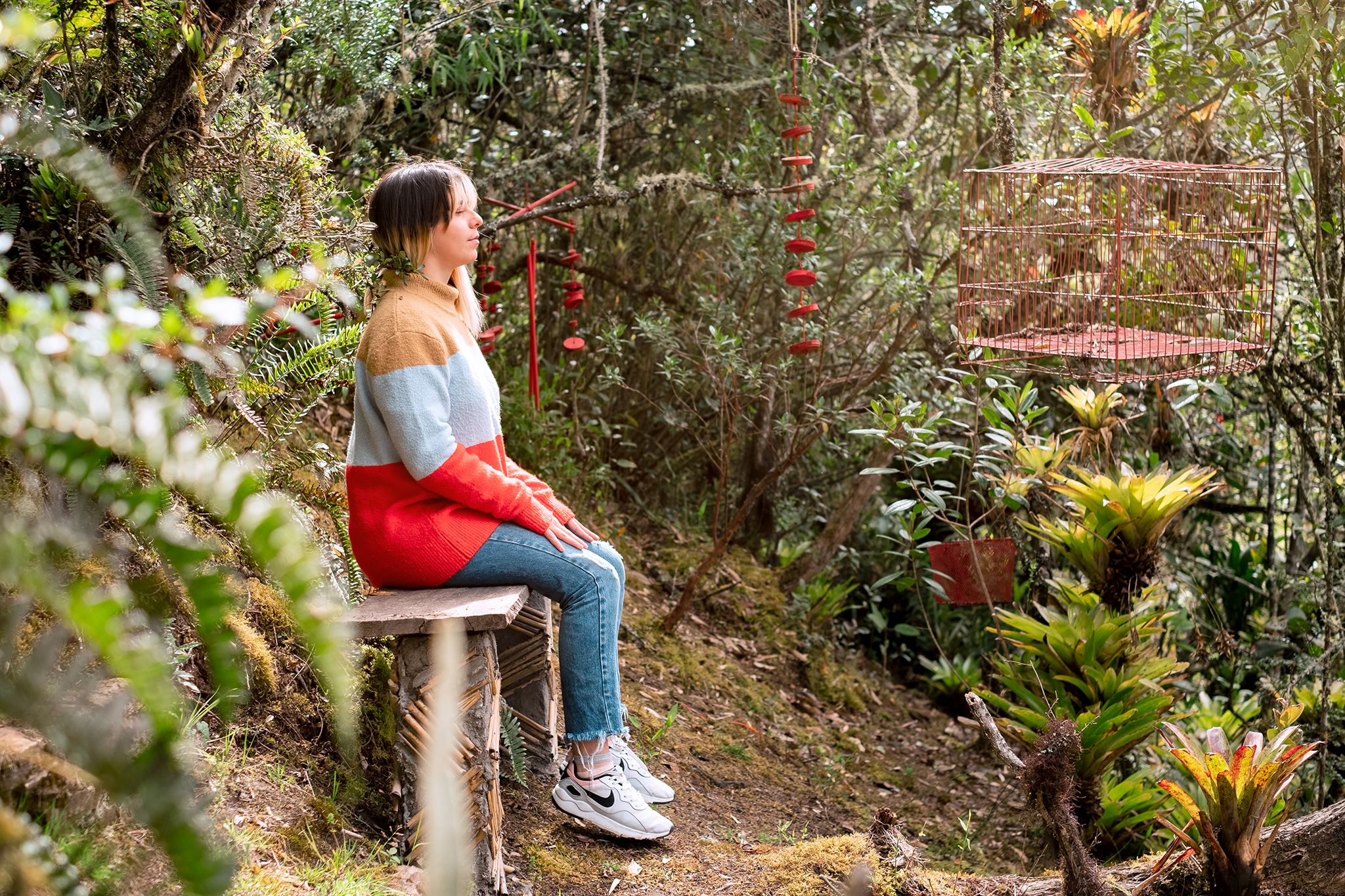 Colombia, pionera en conciertos de plantas con música clásica en vivo