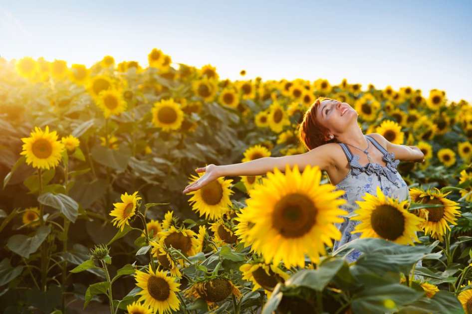 La fórmula de la felicidad