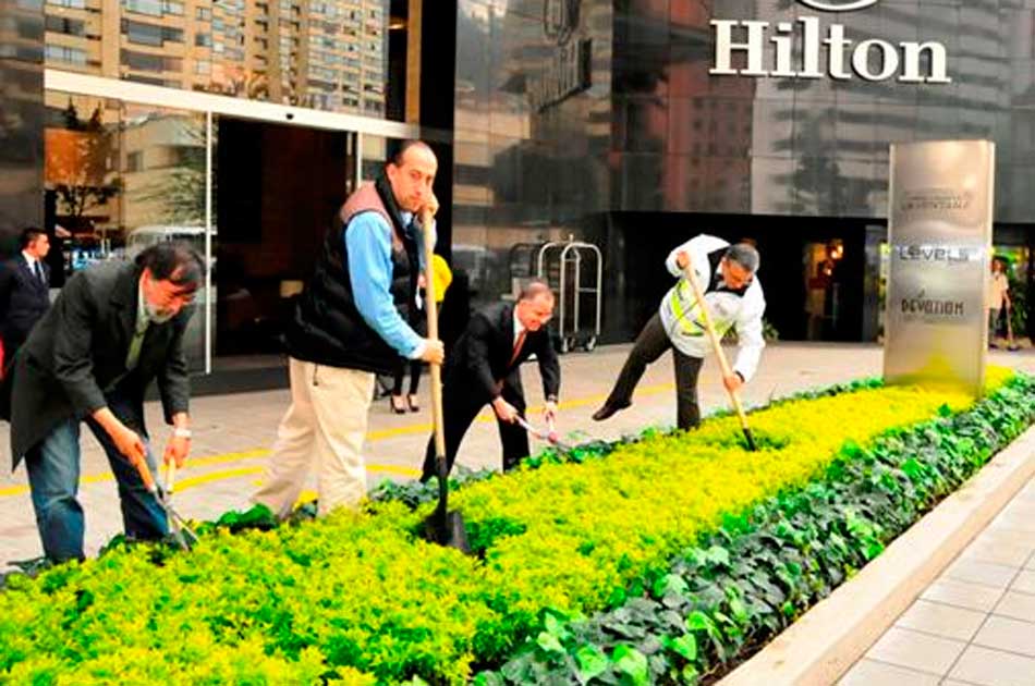 Separador de la Séptima entre 72 y 76 será decorado con plantas