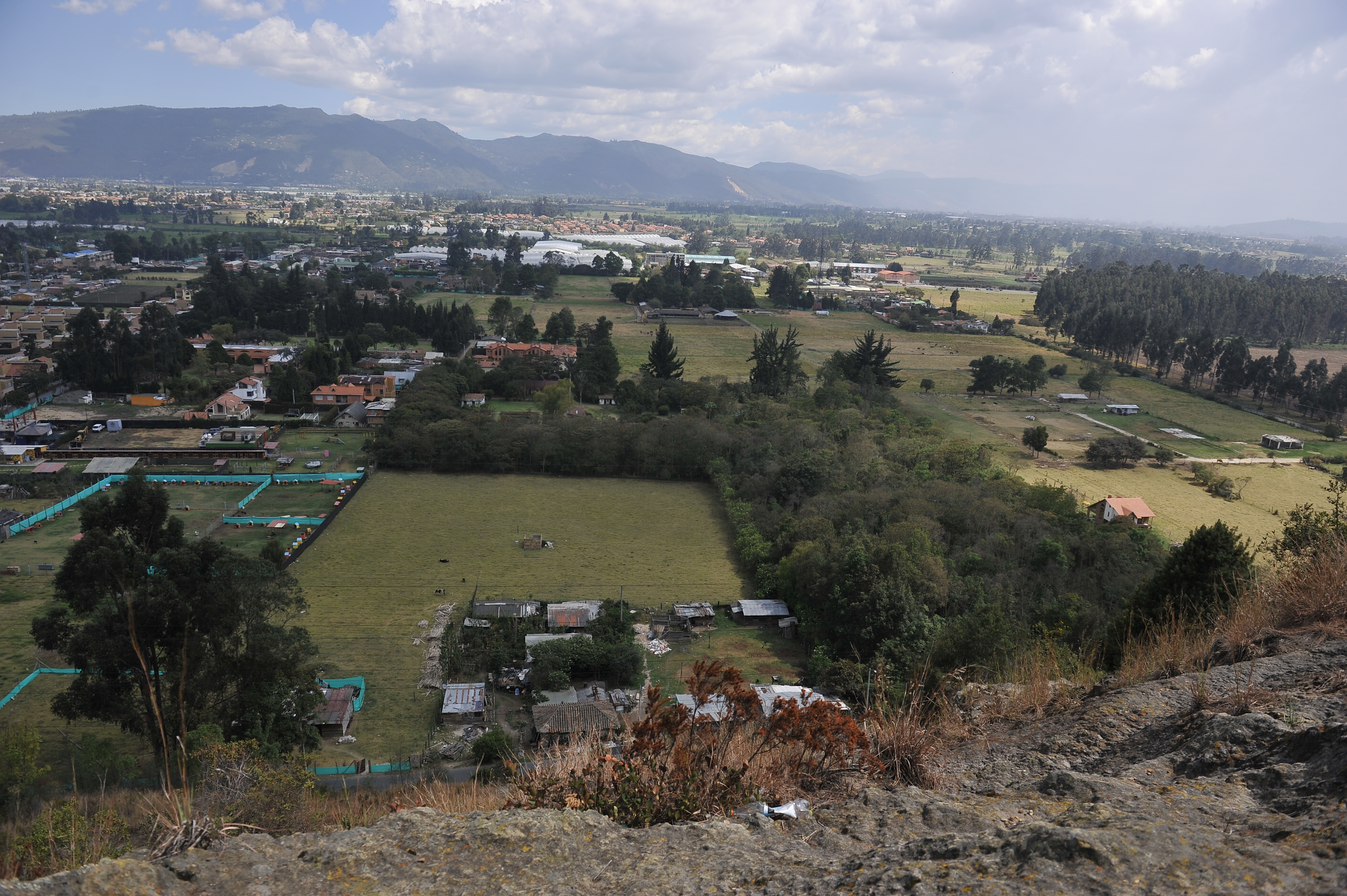 Apoyo no implica respaldo a la intervención de la Van der Hammen: Cities4Forest