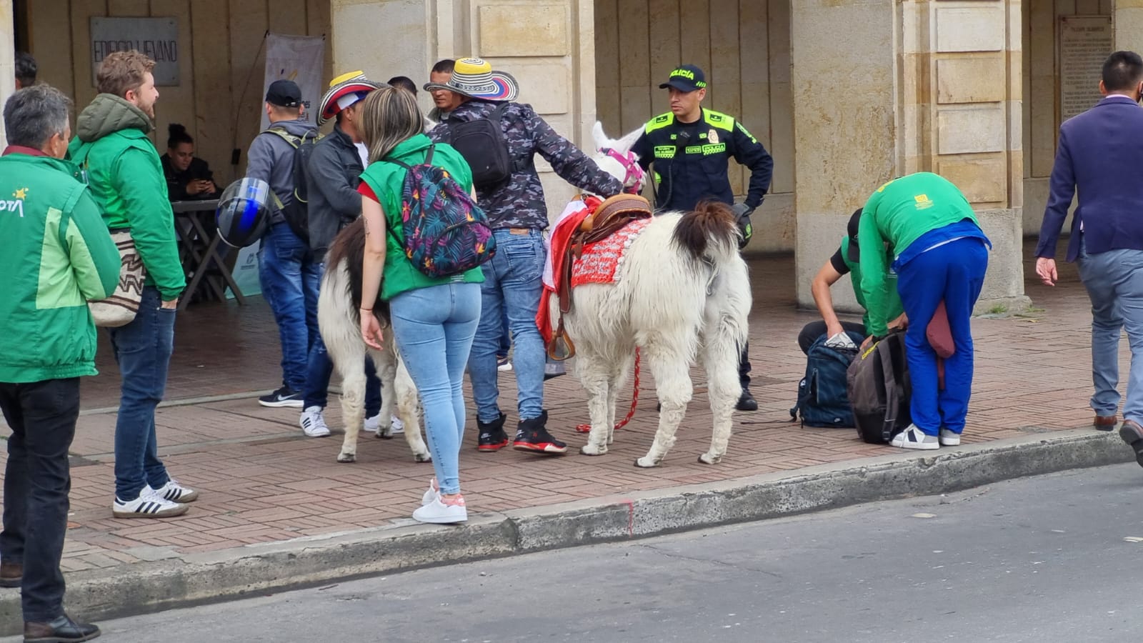 llamas sobreexplotadas en la Plaza de Bolívar