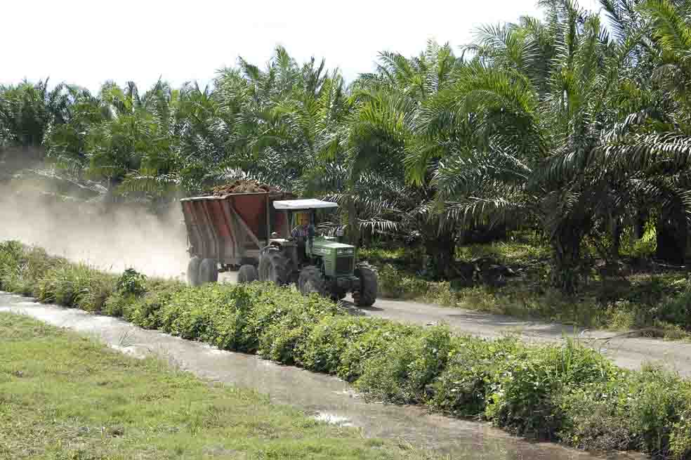 Multinacional Poligrow niega haber violado las leyes colombianas sobre baldíos