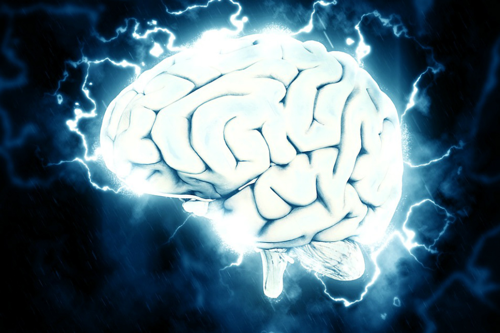 Día Mundial del Cerebro: 10 hábitos que lo cuidarán y lo mantendrán sano