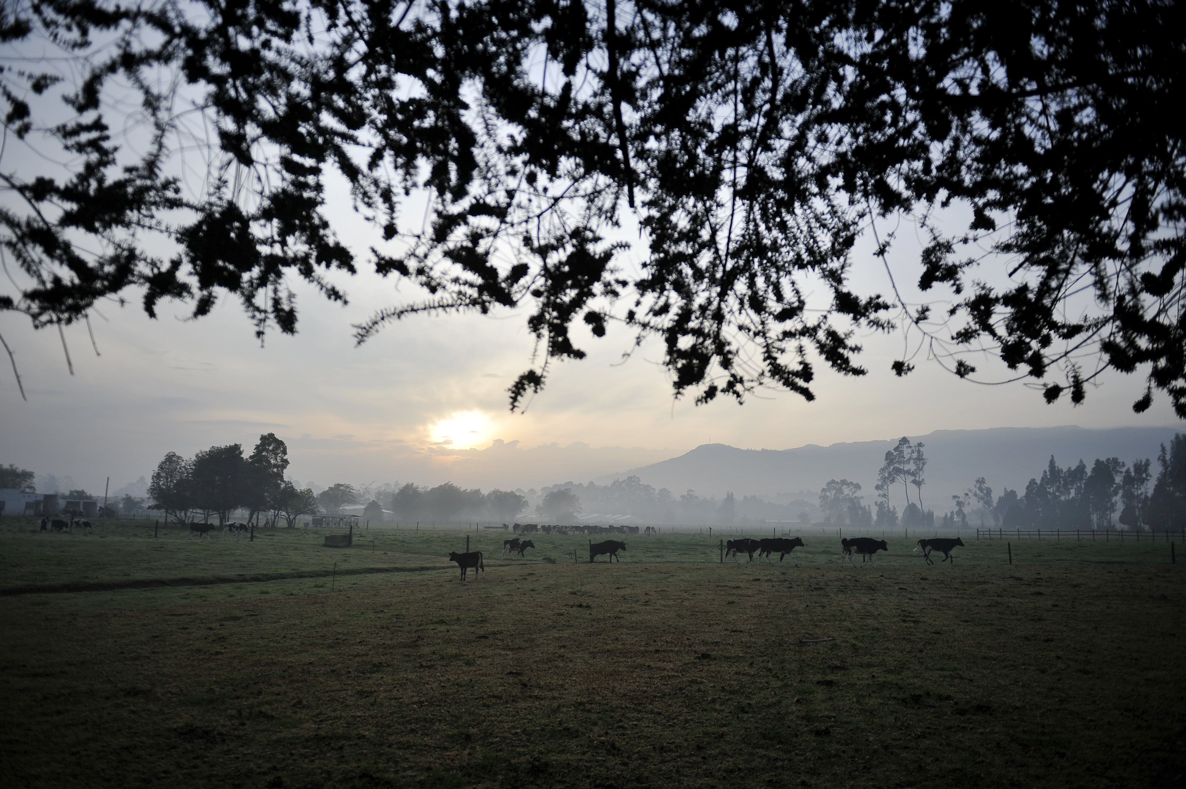 Futuro de la sabana de Bogotá entra en etapa crucial: 45 días para la concertación