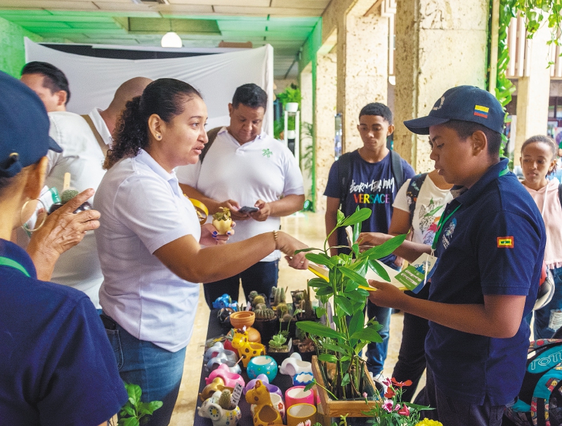De la coca al yogur de café: historias de resiliencia y emprendimiento en Cartagena