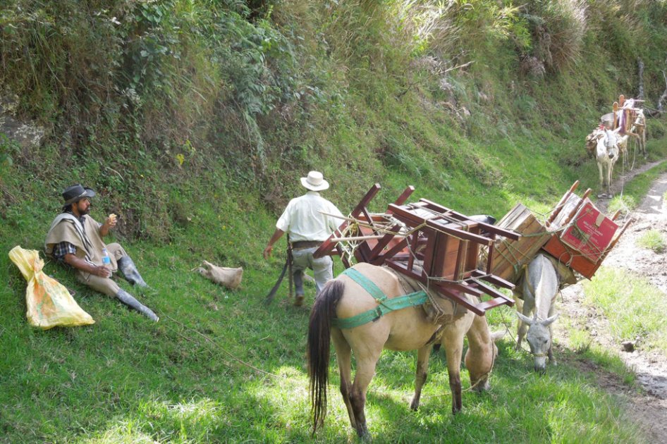 "Monte Adentro" compite en la categoría oficial de cine colombiano del FICCI.
