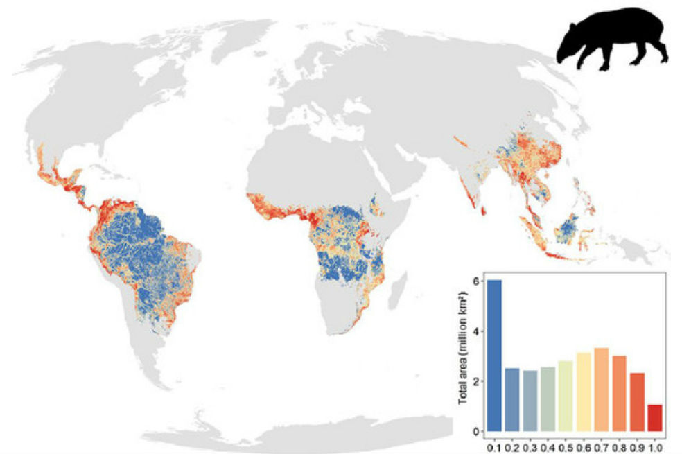Diferentes niveles de defaunación de grandes mamíferos en los trópicos.Ana Benítez-López et al.“Hay zonas donde la mayoría de las especies podrían tener poblaciones reducidas al 70% o más como en África occidental”, advierte la investigadora. Áreas como África oriental, África central, América central, y el sureste asiático (Tailandia, Malasia y suroeste de China) están también amenazadas ya que son cada vez más accesibles.