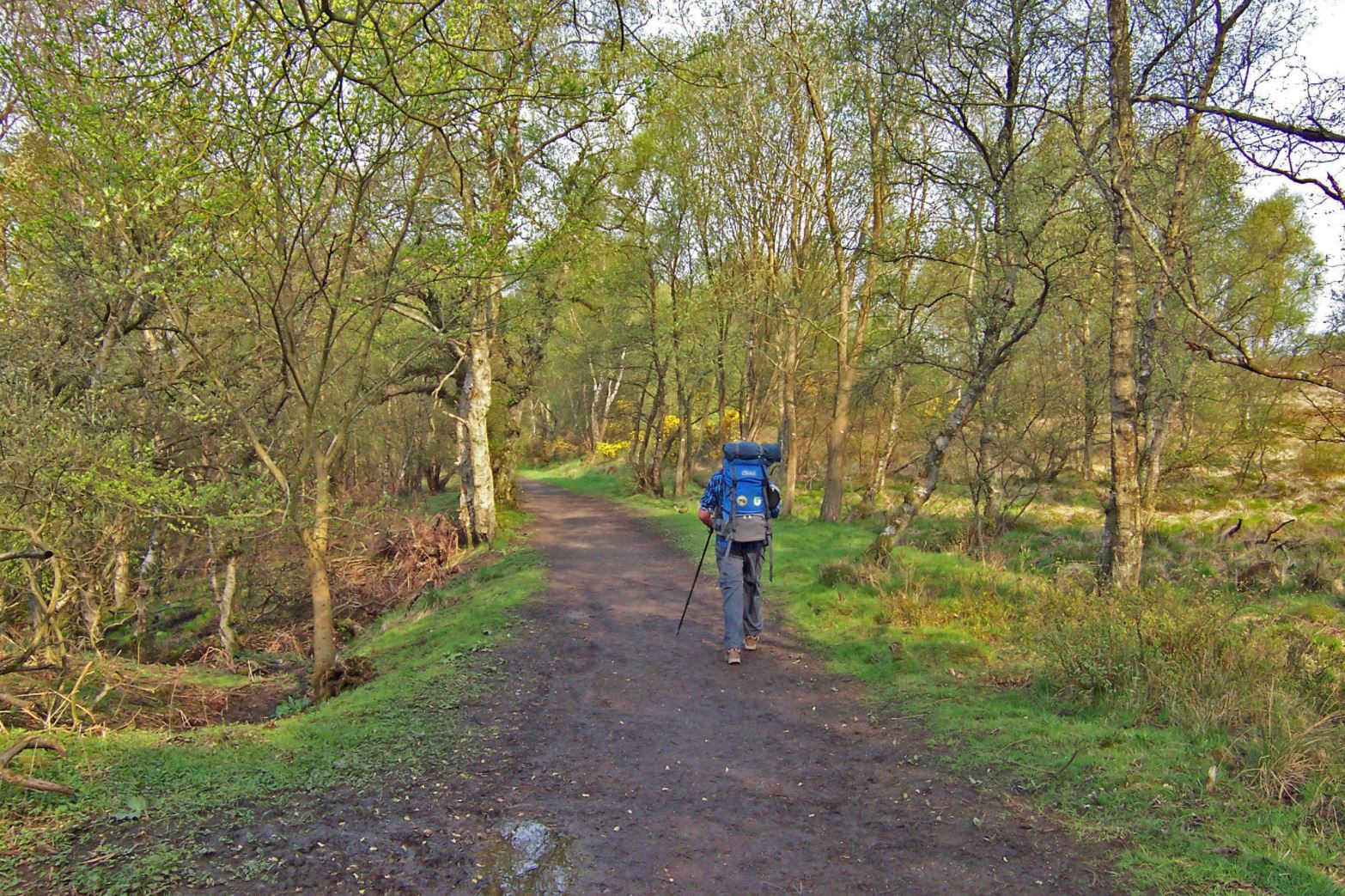 El West Highland Way: la ruta escocesa que todo senderista quiere conquistar