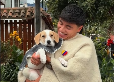 Julián Pinilla ayuda a perrita callejera a encontrar un hogar: “nadie la recibía”
