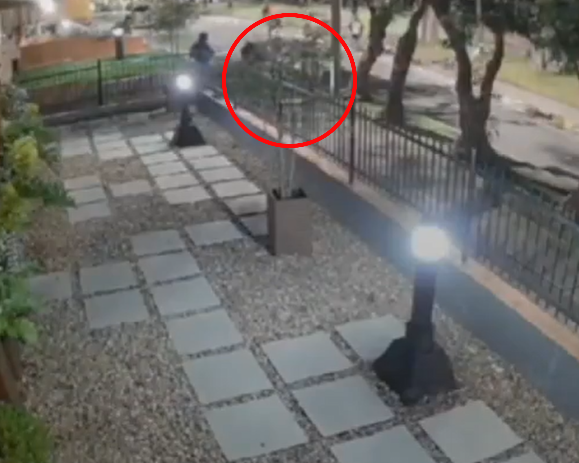 Atraco masivo en ciclorruta de la cra 11: se robaron una patineta y bicicleta