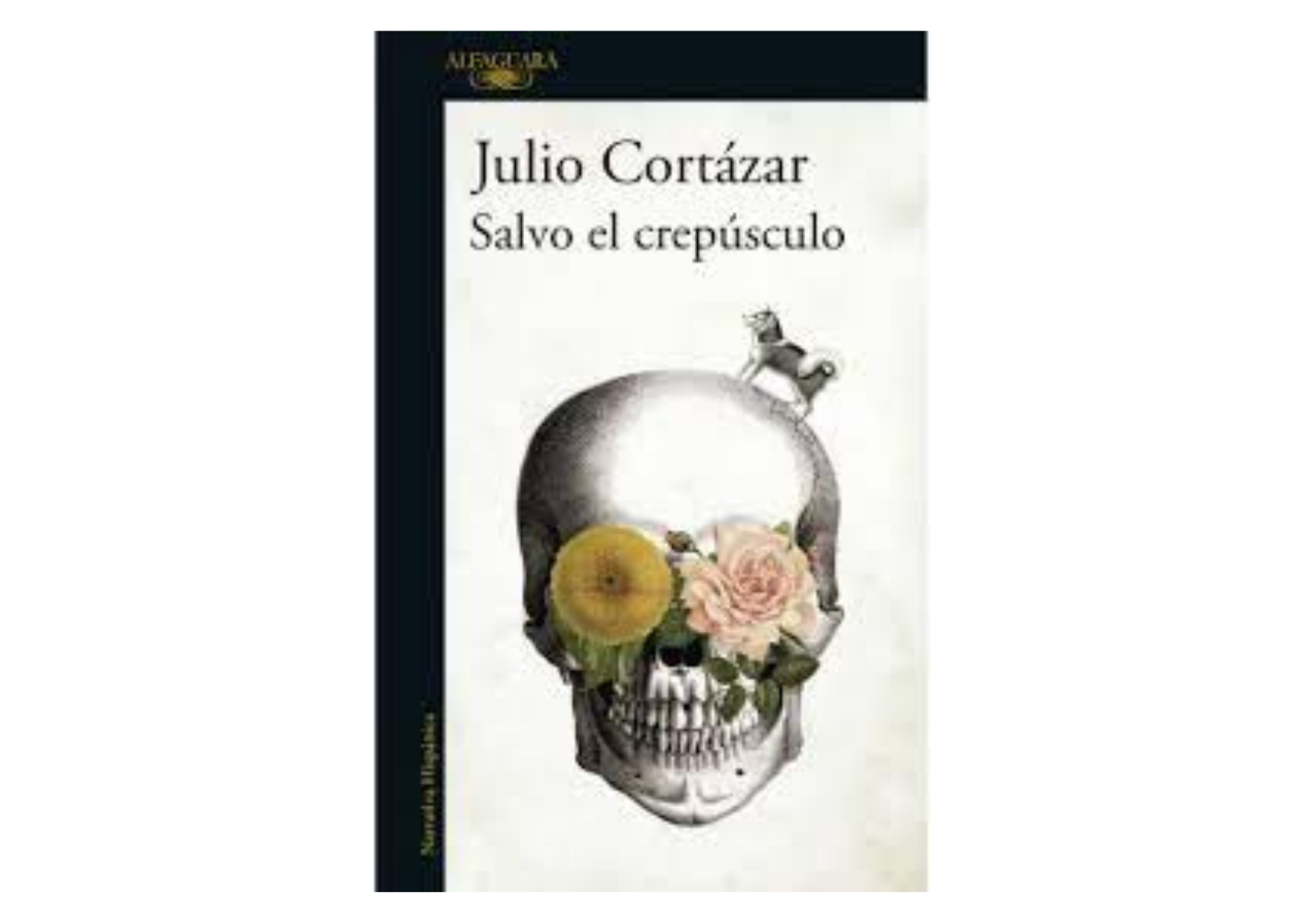 Julio Cortázar nació el 26 de agosto de 1914 en Bruselas, Bélgica, debido a que su padre trabajaba como funcionario de la embajada argentina en ese país. La familia regresó a Argentina cuando él tenía cuatro años, y creció en Banfield, un suburbio de Buenos Aires.